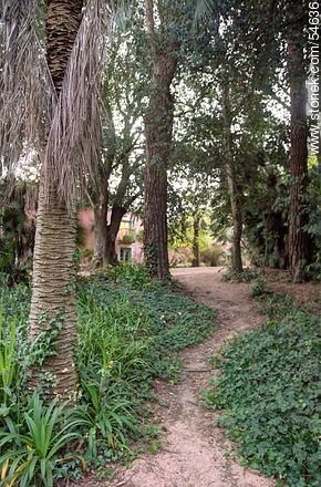 Trail in the park - Punta del Este and its near resorts - URUGUAY. Foto No. 54636