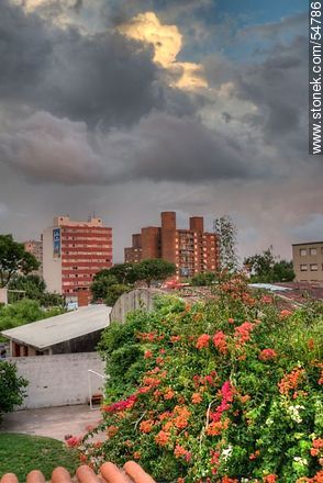 Tormenta de verano en Montevideo - Departamento de Montevideo - URUGUAY. Foto No. 54786
