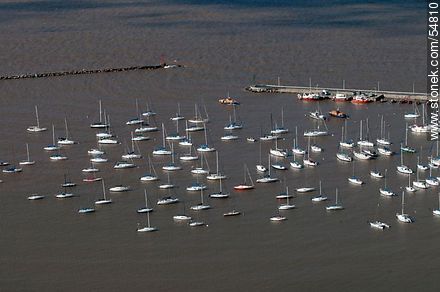 Veleros en el puerto del Buceo. - Departamento de Montevideo - URUGUAY. Foto No. 54810