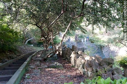 Ascenso al cerro del Toro - Departamento de Maldonado - URUGUAY. Foto No. 55000