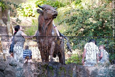 El toro y los turistas - Departamento de Maldonado - URUGUAY. Foto No. 54998