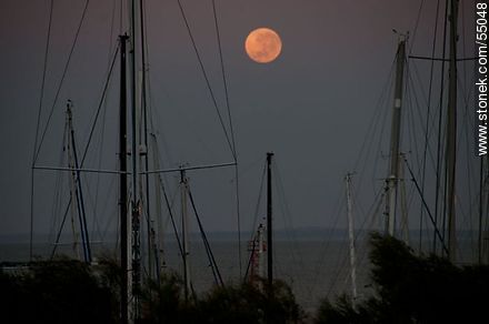 Luna llena al amanecer entre mástiles de veleros - Departamento de Maldonado - URUGUAY. Foto No. 55048