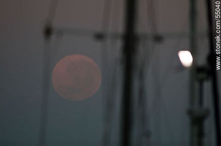 Luna llena al amanecer entre mástiles de veleros - Departamento de Maldonado - URUGUAY. Foto No. 55040