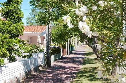 Calle Dr. Héctor Barrios y Av. Artigas - Departamento de Maldonado - URUGUAY. Foto No. 55219