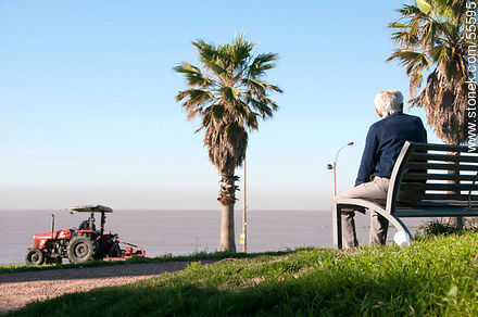 Anciano mirando al Río de la Plata. Tractor cortando el césped.  -  - IMÁGENES VARIAS. Foto No. 55595