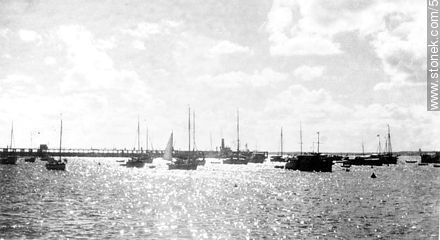 Sailboats in port - Punta del Este and its near resorts - URUGUAY. Photo #56171