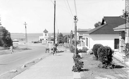 Avenida España y Rambla en parada 25 de la Mansa - Punta del Este y balnearios cercanos - URUGUAY. Foto No. 56144