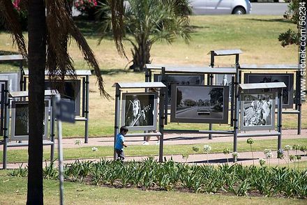 Exhibition of photographs - Department of Montevideo - URUGUAY. Photo #56234