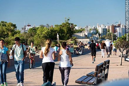 Hikes and strolls along the promenade Wilson - Department of Montevideo - URUGUAY. Photo #56346