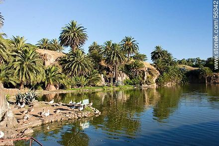 Lago de las canteras del parque. - Departamento de Montevideo - URUGUAY. Foto No. 56342