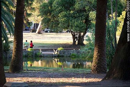Lake in Parque Rodo - Department of Montevideo - URUGUAY. Photo #56300