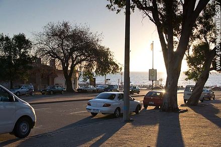 Avenida Sarmiento - Departamento de Montevideo - URUGUAY. Foto No. 56297