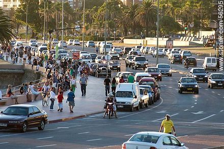 Crowd of cars and pedestrians at sunset on the  promenade of beach Ramirez - Department of Montevideo - URUGUAY. Photo #56295