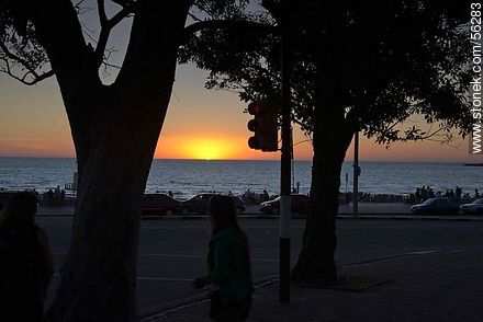 Puesta de sol en playa Ramírez - Departamento de Montevideo - URUGUAY. Foto No. 56283