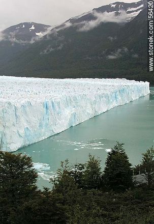 Perito Moreno glacier -  - ARGENTINA. Photo #56420