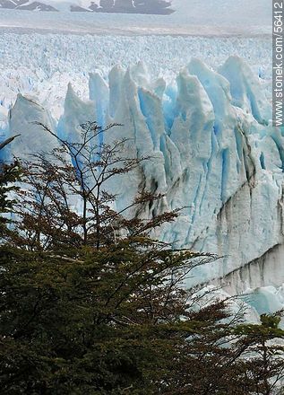 Perito Moreno glacier -  - ARGENTINA. Photo #56412