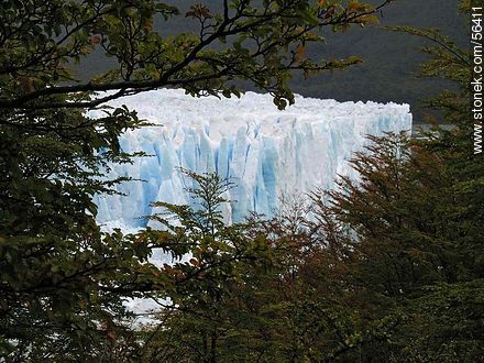 Glaciar Perito Moreno -  - ARGENTINA. Foto No. 56411