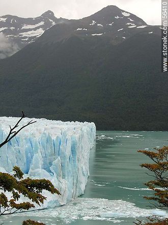 Perito Moreno glacier -  - ARGENTINA. Photo #56410