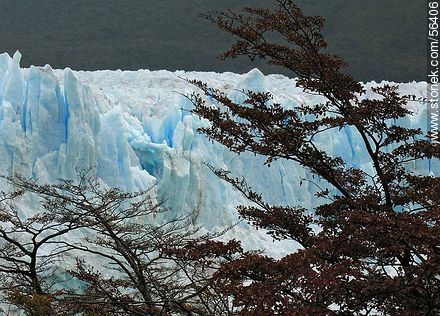 Glaciar Perito Moreno -  - ARGENTINA. Foto No. 56406