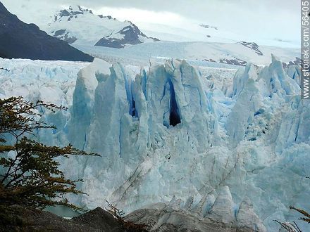 Perito Moreno glacier -  - ARGENTINA. Photo #56405