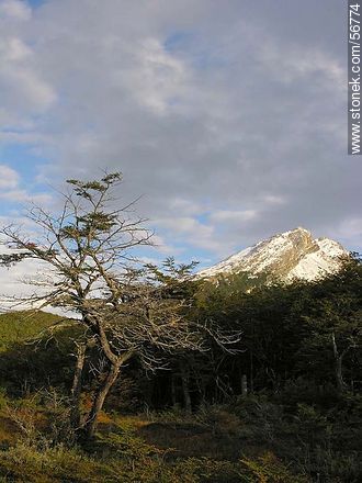 Ushuaia Recreation Area -  - ARGENTINA. Photo #56774