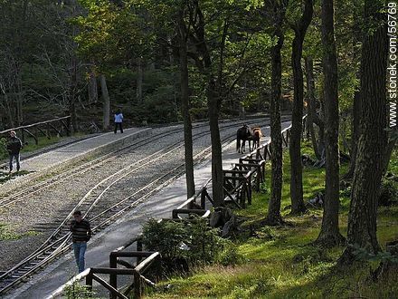 Ferrocarril Austral Fueguino -  - ARGENTINA. Foto No. 56769
