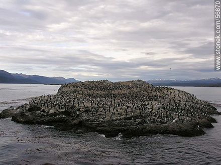 Isla de los cormoranes en el canal Beagle -  - ARGENTINA. Foto No. 56870