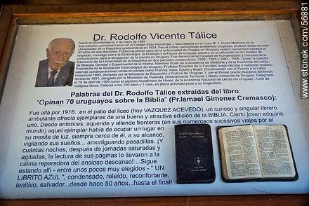 Palabras del Dr. Rodolfo Vicente Tálice - Departamento de Flores - URUGUAY. Foto No. 56881
