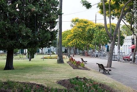 Plaza de los 33 Orientales - Departamento de Salto - URUGUAY. Foto No. 57036