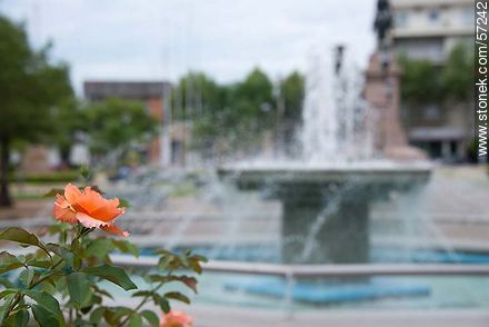 Artigas Square. Roses and fountain. - Department of Salto - URUGUAY. Photo #57242