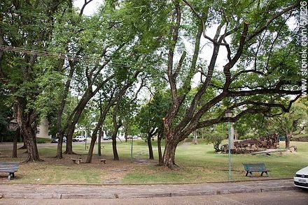 Plaza en la rambla Costanera Norte - Departamento de Salto - URUGUAY. Foto No. 57226