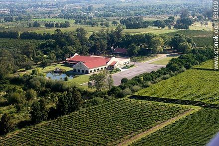 Vineyard and Quinta de Arteaga - Department of Montevideo - URUGUAY. Foto No. 58039