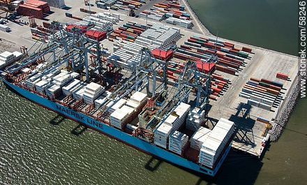 Aerial view of cranes at Terminal Cuenca del Plata in operation unloading containers from a freighter Maersk Line - Department of Montevideo - URUGUAY. Photo #58246
