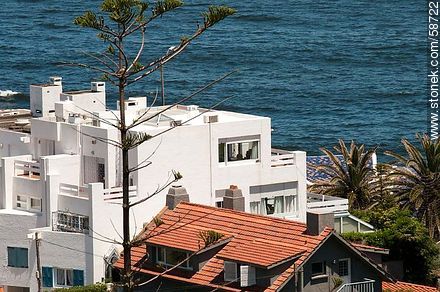 From the lighthouse of Punta del Este. Apartments of the Peninsula - Punta del Este and its near resorts - URUGUAY. Photo #58722