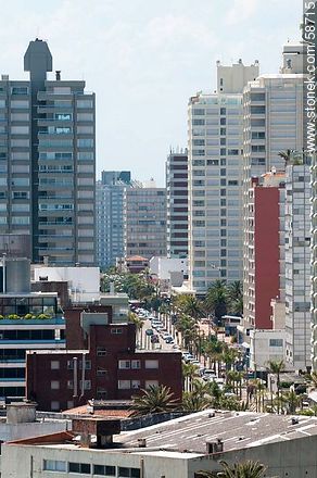 Desde el faro de Punta del Este. La avenida Gorlero y sus torres - Punta del Este y balnearios cercanos - URUGUAY. Foto No. 58715