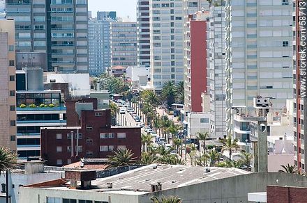Desde el faro de Punta del Este. La avenida Gorlero y sus torres - Punta del Este y balnearios cercanos - URUGUAY. Foto No. 58713