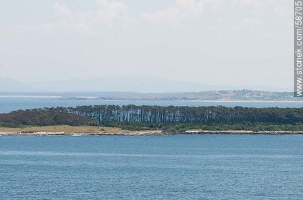 From the lighthouse of Punta del Este. Island Gorriti. - Punta del Este and its near resorts - URUGUAY. Foto No. 58705