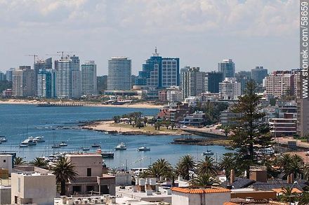 From the lighthouse of Punta del Este. Buildings of Playa Mansa - Punta del Este and its near resorts - URUGUAY. Foto No. 58659
