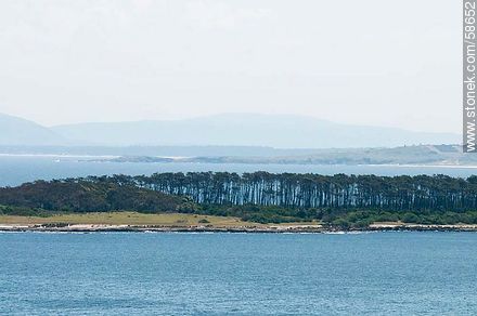 From the lighthouse of Punta del Este.  Gorriti Island - Punta del Este and its near resorts - URUGUAY. Foto No. 58652