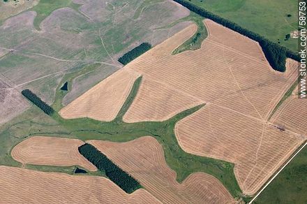 Aerial view of fields ready for planting - Department of Maldonado - URUGUAY. Photo #58753