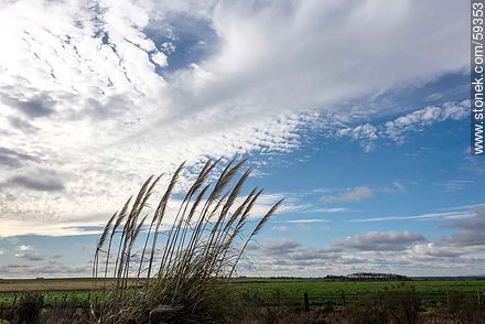 Campo uruguayo con variedad de nubes -  - URUGUAY. Foto No. 59353