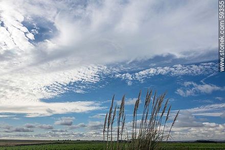 Campo uruguayo con variedad de nubes -  - URUGUAY. Foto No. 59355