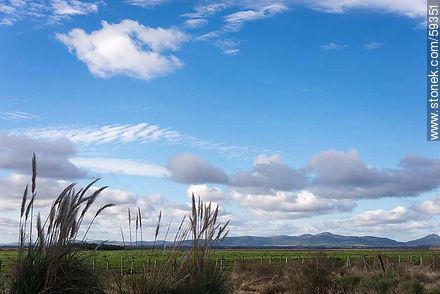 Campo uruguayo con variedad de nubes -  - URUGUAY. Foto No. 59351