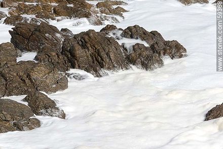 Foam on the sea and rocks - Punta del Este and its near resorts - URUGUAY. Photo #59368