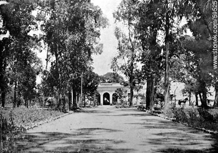 Estancia Hill, 1909 -  - URUGUAY. Foto No. 59525