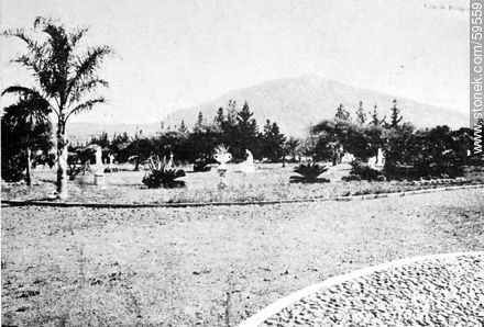Una avenida de Piriápolis, 1909. -  - URUGUAY. Foto No. 59559