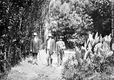 La fronda uruguaya en Punta Ballena. Propiedad de Felipe Lussich. 1909. -  - URUGUAY. Foto No. 59581