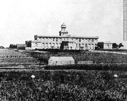 Instituto de Agronomía, 1910 - Departamento de Montevideo - URUGUAY. Foto No. 59733