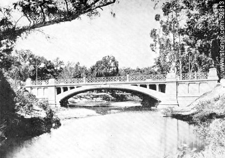 Bridge Paseo del Prado. 1909 - Department of Montevideo - URUGUAY. Photo #59813