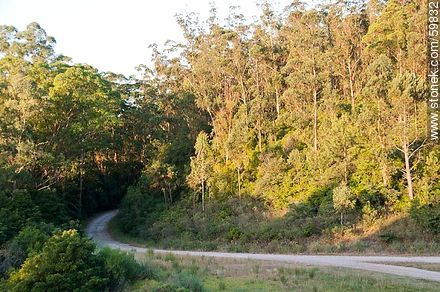 Path - Lavalleja - URUGUAY. Photo #59832